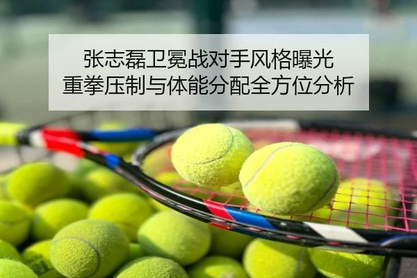 张志磊卫冕战对手风格曝光 重拳压制与体能分配全方位分析